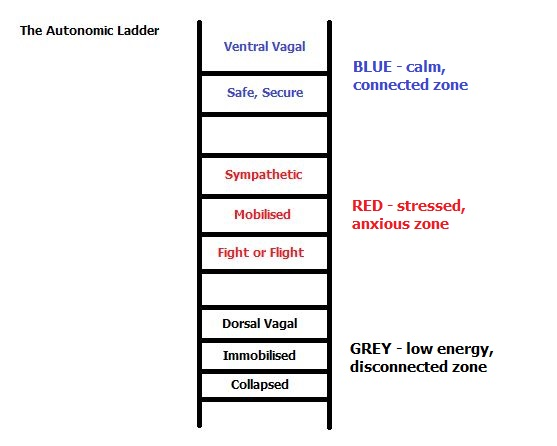 Autonomic Ladder Zones Autonomic Ladder Zones